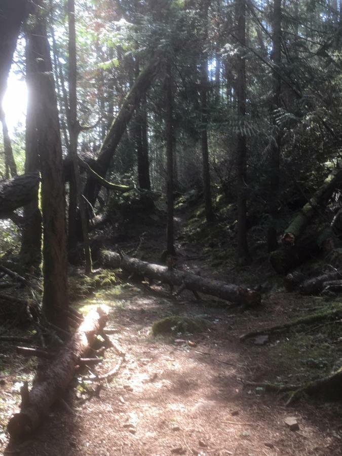 Oceanspray Hideaway Apartment North Saanich Екстериор снимка